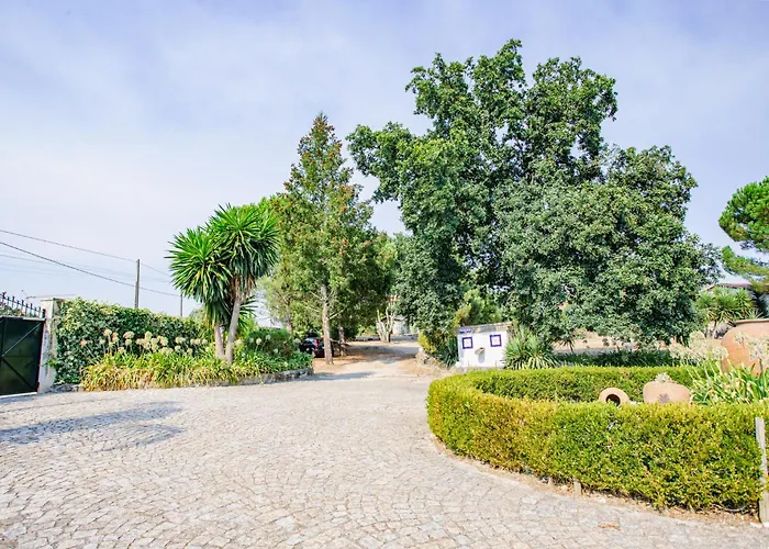 Гостевой дом Casa Da Calcada Визеу